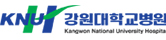 강원대학교병원